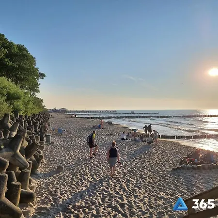 アパート 365pam - Summer Loft Baltic 41 - Parking I Bawialnia W Cenie ウストロニエ・モルスキエ